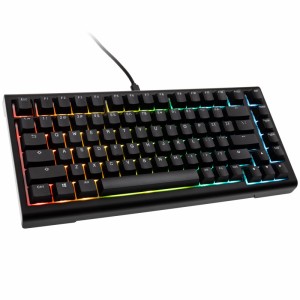 Ducky Tinker 75 Gaming Keyboard, RGB, black - MX-Speed Silver (ANSI) (PKTI2383AST-CPUSPDOECLAAW1)