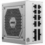 MSI MAG A850GL PCIe5 White 80 PLUS Gold - 850 Watt (306-7ZP8A24-CE0)
